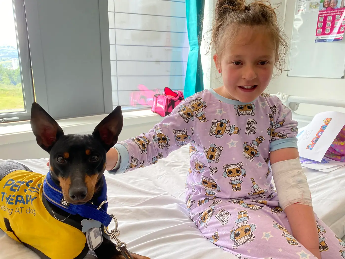 English Toy Terrier
