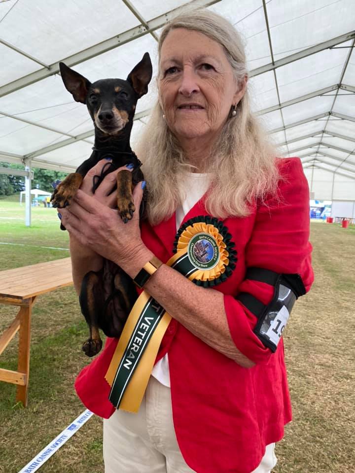 English Toy Terrier