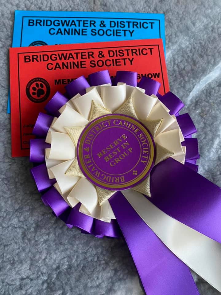 English Toy Terrier awards